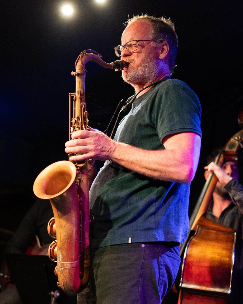 Roger Manins